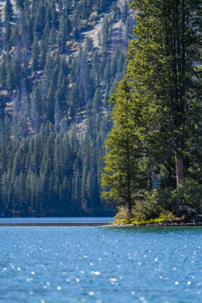 Alpine lake and trees in Sawtooth Range