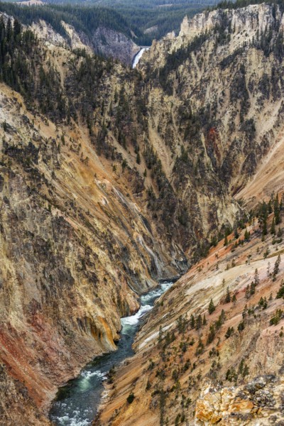 Yellowstone River flowing through Grand Canyon in Yellowstone National Park