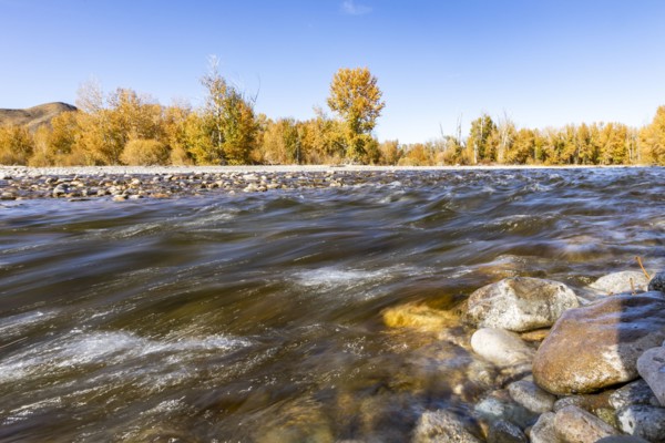 Motion blurred flow of Big Wood River in autumn