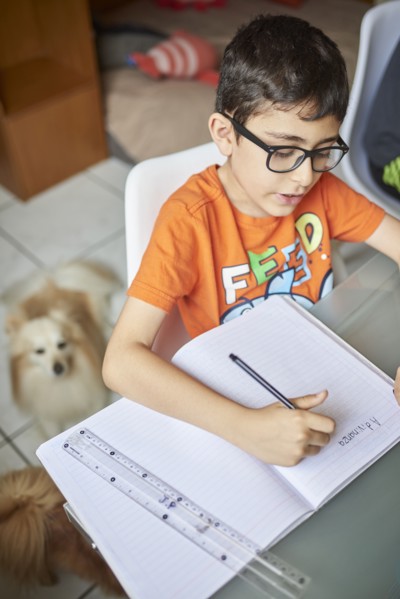 Boys (8-9) writing in notebook while learning at home during Covid-19 lockdown