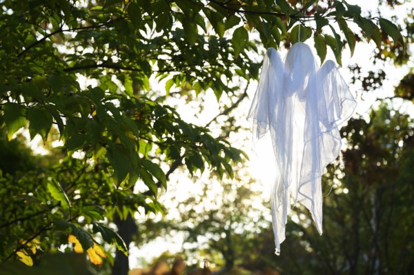 Ghost decoration in tree