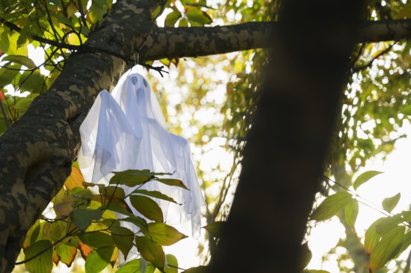 Ghost decoration in tree