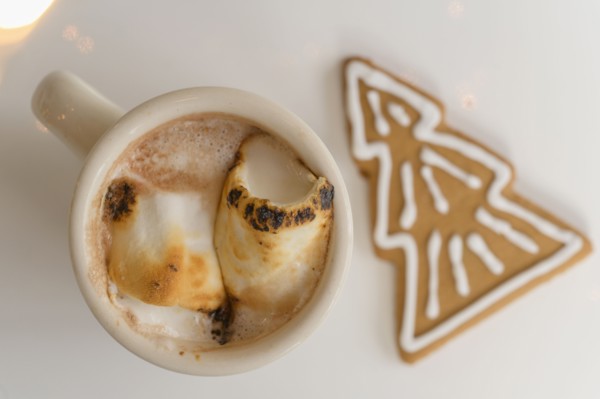 Hot cocoa with gingerbread cookie