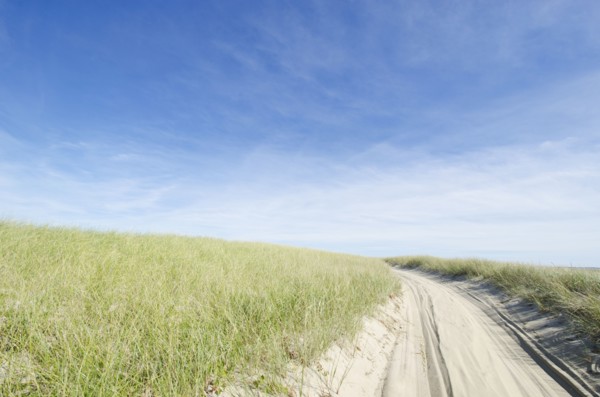 Coskata-Coatue Wildlife Refuge