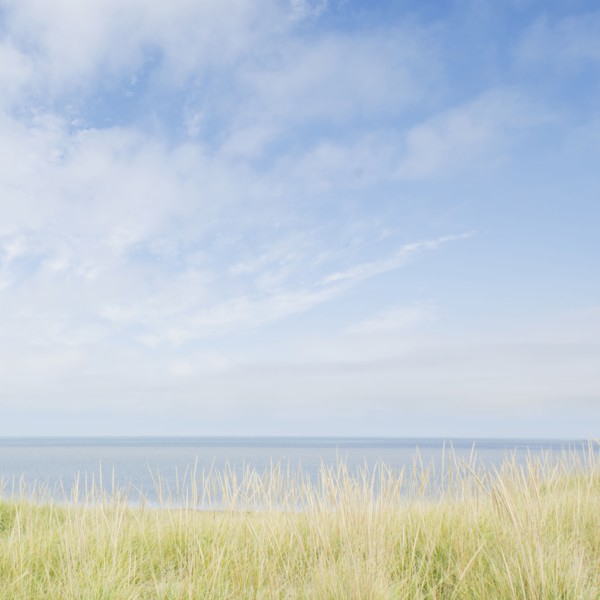 Grass on dunes and sea