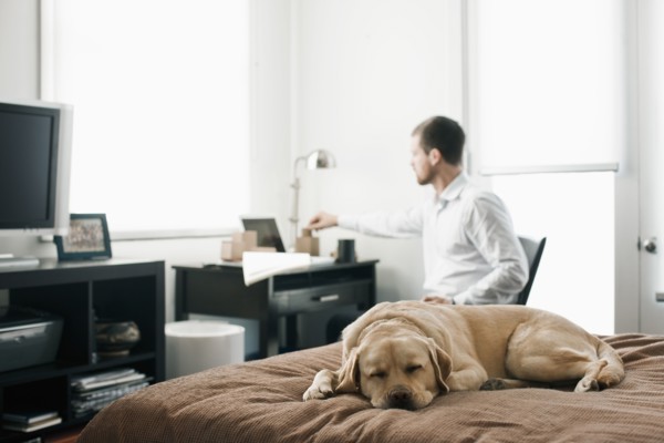 Caucasian businessman working in bedroom