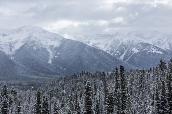 Landscape with snowy mountains and forests in winter