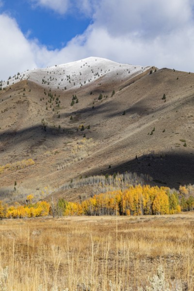 Landscape with snowy mountains and autumn foliage
