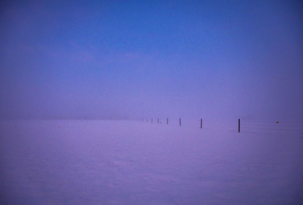 Snowy field at dawn