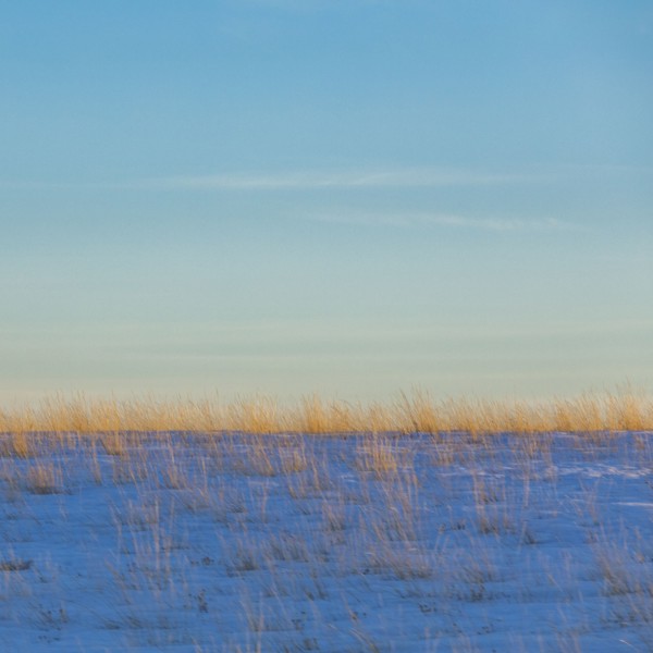 Range grasses in snow at sunset