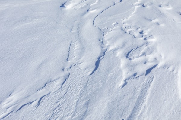 Windblown snow texture