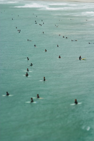 Surfers in sea