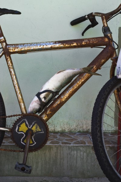 Fish secured to rusty bicycle