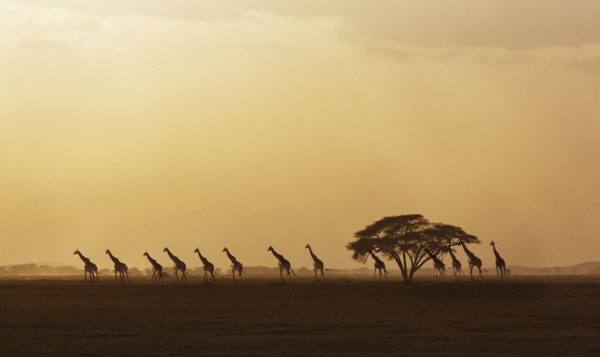 Kenya