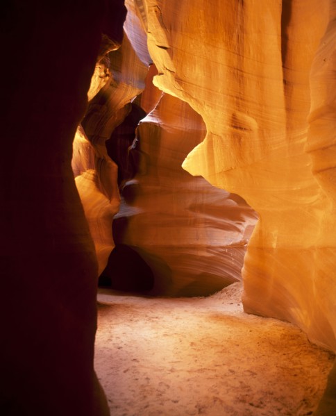 Arizona