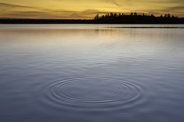 Usa, Maine, Cooper, Sunset at Cathance Lake
