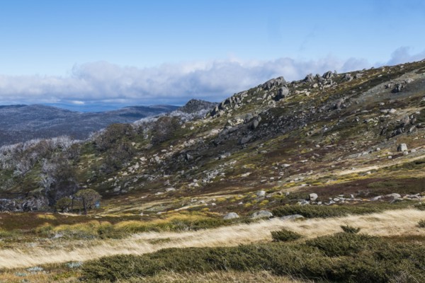 Australia, New South Wales, Landscape with mountains in Kosciuszko National Park