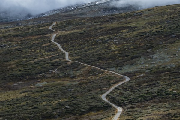 Australia, New South Wales, Hiking trail in mountains at Charlotte Pass in Kosciuszko National Park