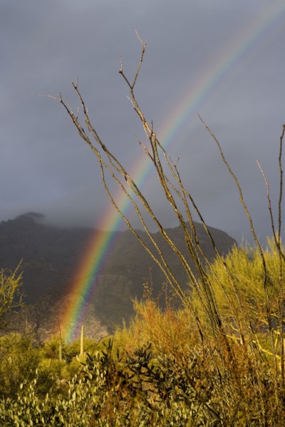 USA, Arizona, Tucson, Rainbow in landscape with mountains in background