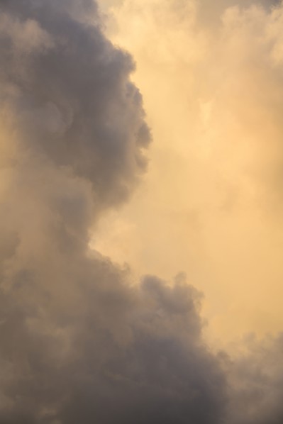 Gold and gray Cumulus clouds
