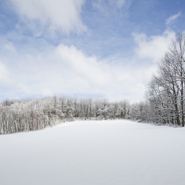 Jockey Hollow in winter