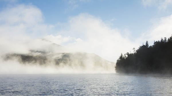 Morning mist rising