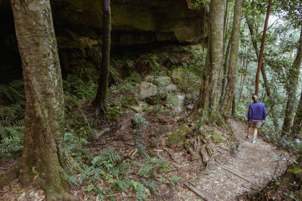 Woman on hiking trail in forest