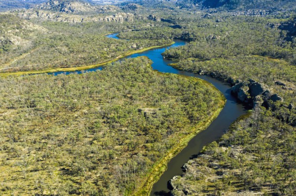 Aerial view of Dunns Swamp