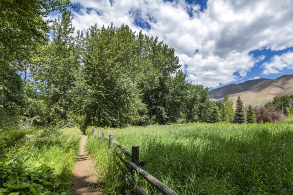 Footpath and pasture in rural area