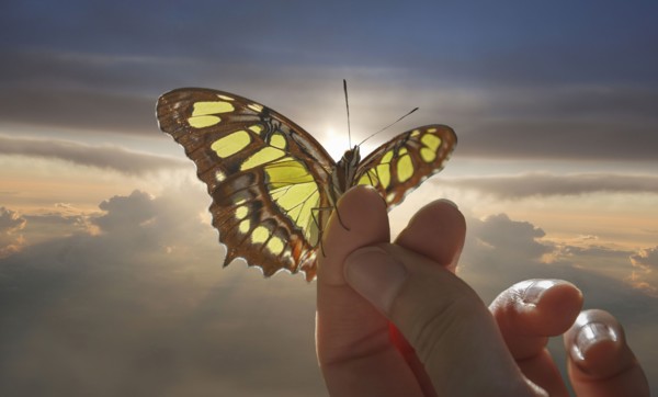 Caucasian woman holding butterfly in cloudy sky
