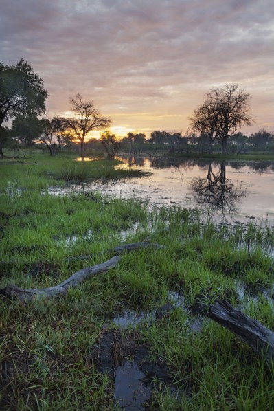 Sunset reflecting in remote river