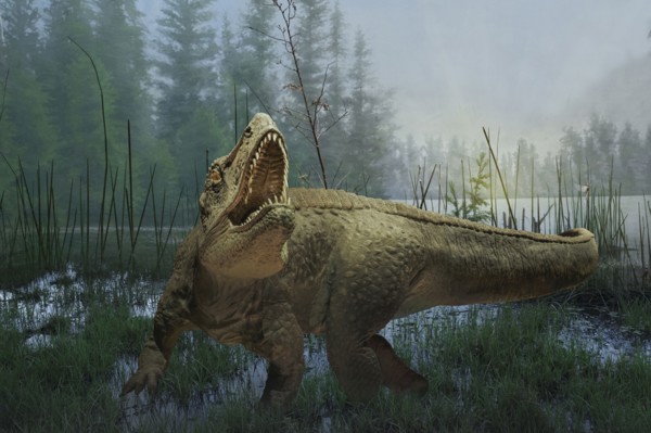 Tyrannosaurus rex dinosaur prowling in marsh
