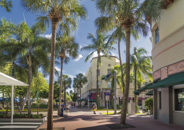 Palm trees on urban sidewalk