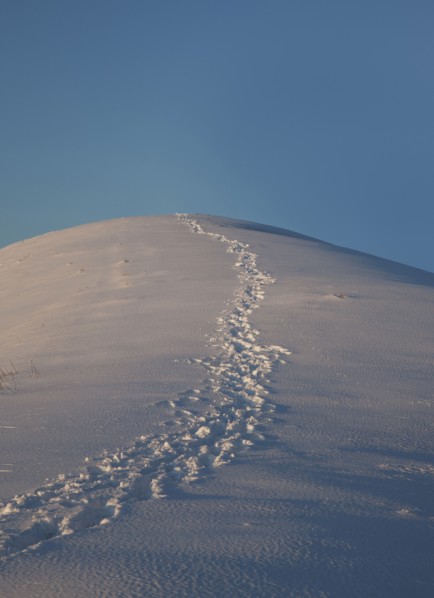 Footprints in snow on hill