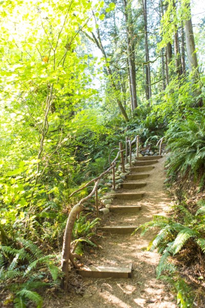 Staircase in forest