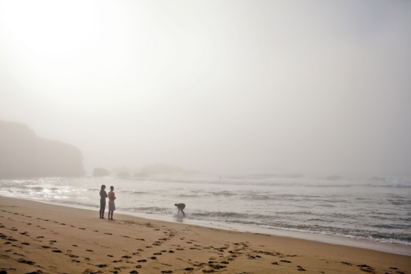 Couple playing with dog on beach