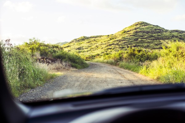 Sandy road viewed through car windshield