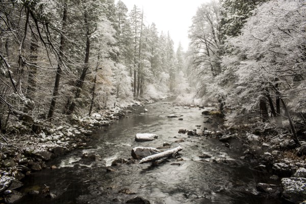 Stream flowing in snowy forest