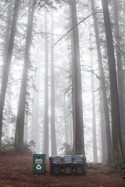 Recycling bin and trash cans in forest
