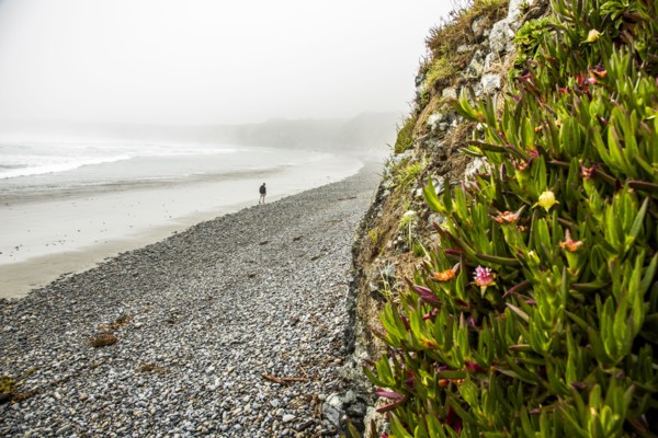 Distant Caucasian man walking on ocean beach