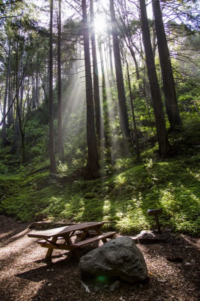 Sunbeams on picnic table in park