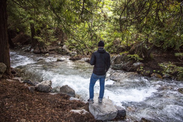 Caucasian man standing on rock near stream in woods