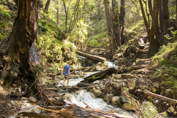 Caucasian man walking on wooden plank over forest stream