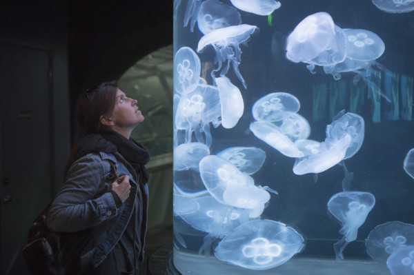 Caucasian woman admiring jellyfish in aquarium