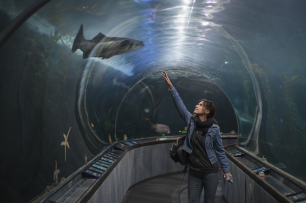 Caucasian woman admiring shark in aquarium tunnel