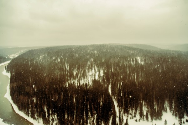 Aerial view of snowy remote forest