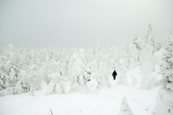 Caucasian hiker walking in snowy forest