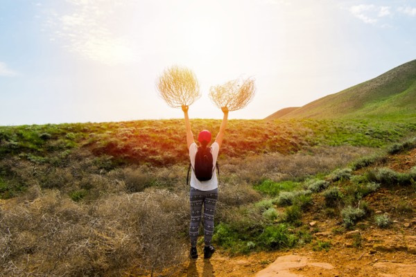 Woman standing in rolling landscape holding branches