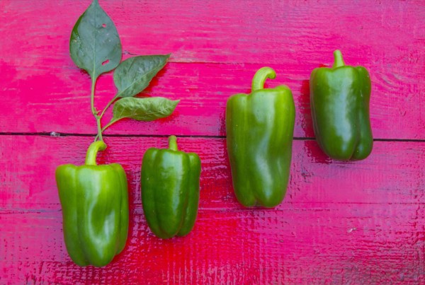 Close up of row of green peppers on red wooden table
