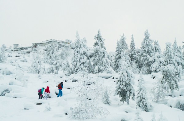 Caucasian friends hiking in snowy forest